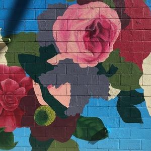 Meet your Posher, Lillian